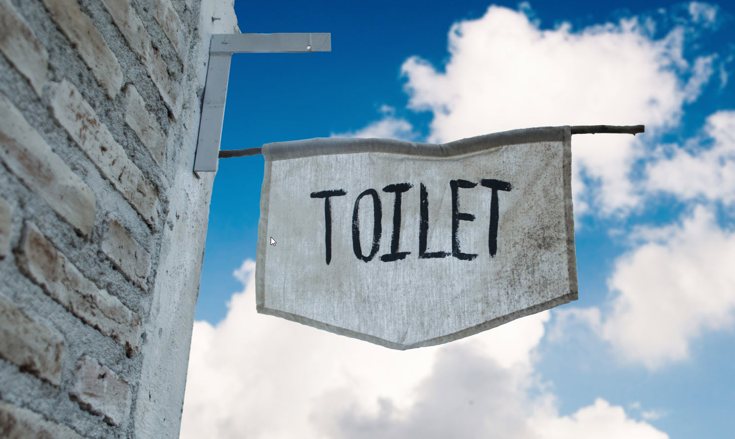 Toiletskilt